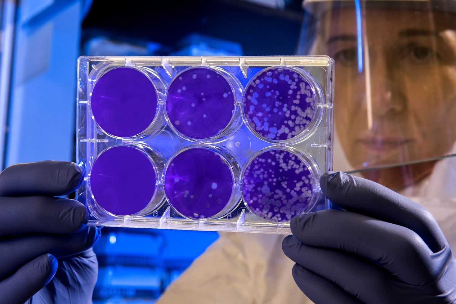 Mentorship: A Key to Biotech Startup Success