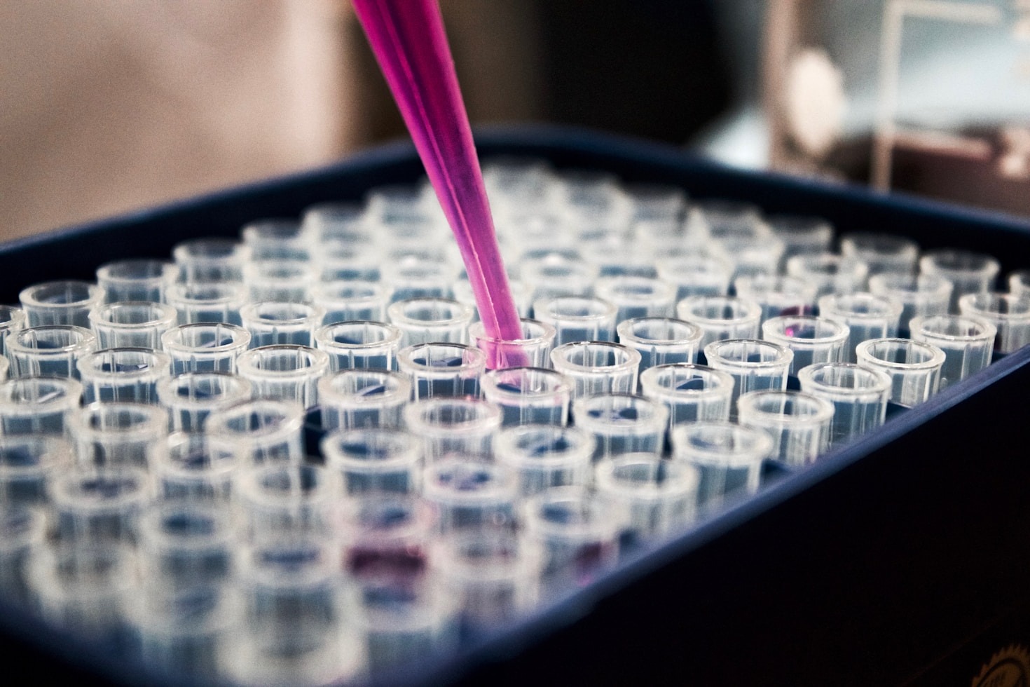 Why Northern Denmark Is a Biotech Hotspot